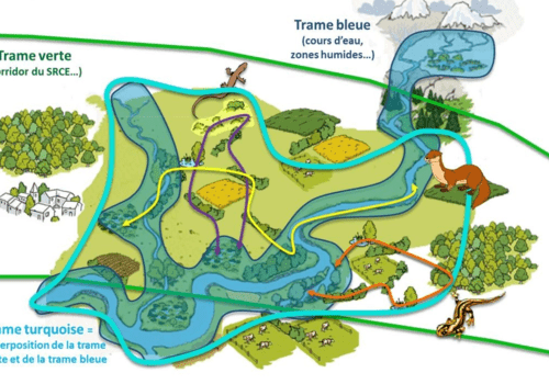 Trames verte , bleu, ... Trames verte , bleu, ...
