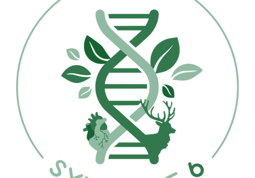 Logo de l'association Symbiose 6 Logo liant ADN, coeur et cerf représentant la diversité des branches de la biologie, accompagné des textes biologie et symbiose 6