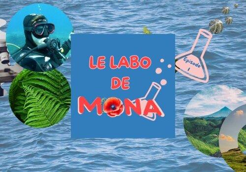 Mona'Venture FDS Mona'Venture FDS