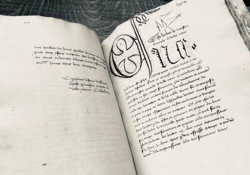 L'herbier d'Arnaud de Villeneuve, traduit du latin en ancien français pour la reine Isabelle de Bavière (déb. du XVe s.). Photographie du ms-2889, conservé à la bibliothèque de l'Arsenal (Paris)