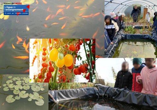 Aquaponie Bec de Jeu Techniques d'aquaponie