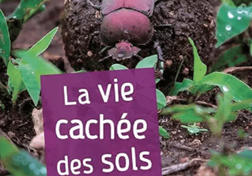 La Vie cachée des sols par Philippe HINSINGER chez QUAE Couverture de la Vie cachée des sols par Philippe HINSINGER chez QUAE