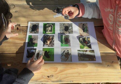 jeu des resines jeu sur les animaux du jardin