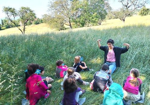 Contes au milieu des herbes Méline, conteuse d'histoire en pleine nature
