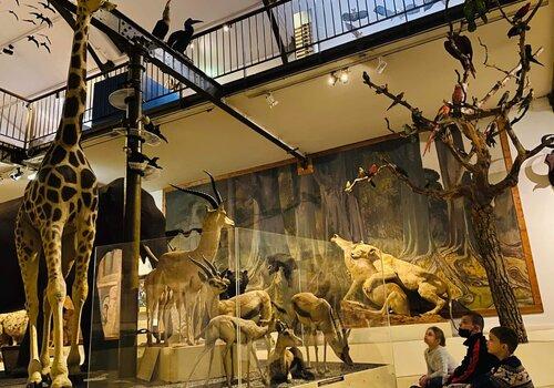 Galerie du Muséum de Bourges
