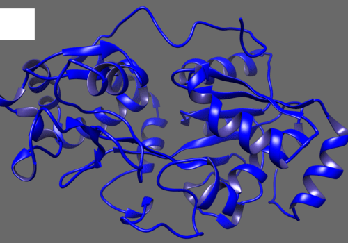 Structure 3D de protéine