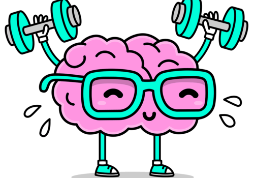 Atelier cerveau