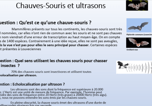 Panneau d'un des nombreux ateliers Panneau d'un des nombreux ateliers