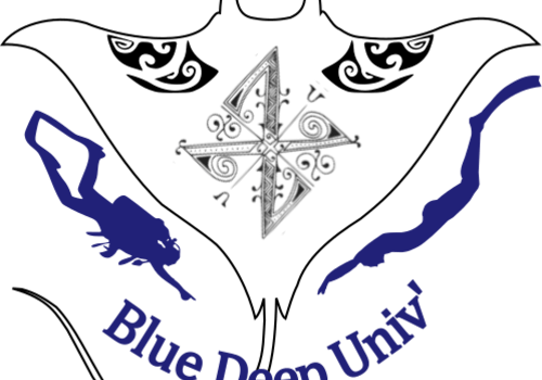 Logo Apnée, Biologie, Plongée et Culture