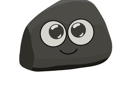 Mascotte pet rock