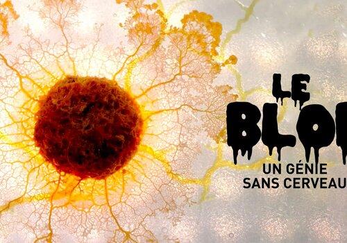 un blob