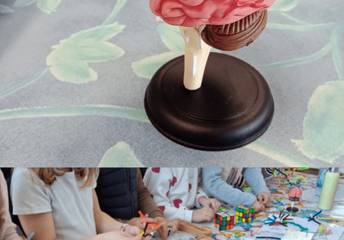 Maquette de cerveau MaquMaquette du cerveau et maquettes de neurones par les enfants
