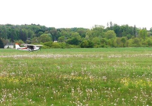 la biodiversité d'un aerodrôme un aerodrôme est une belle reserve de biodiversité
