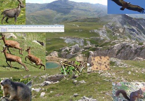 Exploitation des indices observables dans un écosystème mobilisant différentes intelligences L'observation d'un écosystème permet, grâce à ses nombreux indices de révéler sa biodiversité actuelle mais aussi passé tout en utilisant différentes intelligences