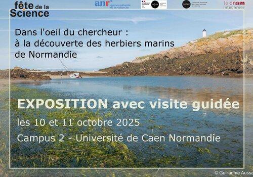 Affiche de l'exposition avec visite guidée "Dans l’œil du chercheur : à la découverte des herbiers marins de Normandie".