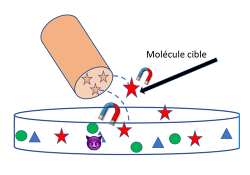 Image qui représente le détecteur sélectif d'une molécule en forme d'étoile, parmi d'autres formes.