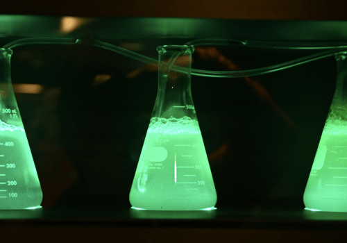 De la chimie fluorescente Trois erlenmeyers contenant des solutions fluorescentes vertes, situés dans le noir