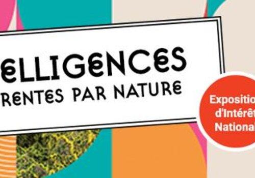 Intelligences, différentes par nature
