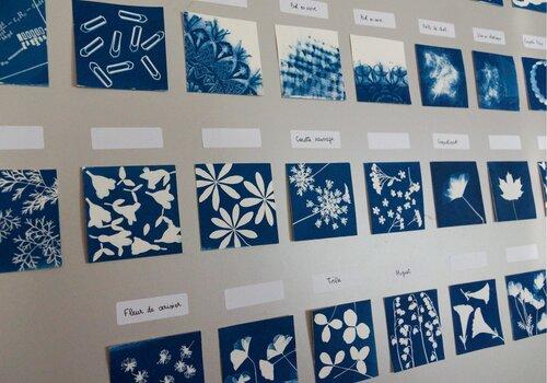 Photo de cyanotypes