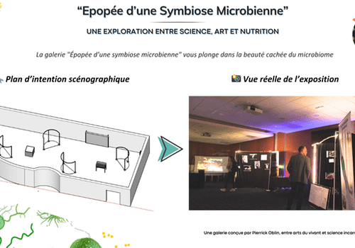 Epopée d'une Symbiose Microbienne NALBA - Ressentir et comprendre l’intelligence invisible de notre microbiote.
