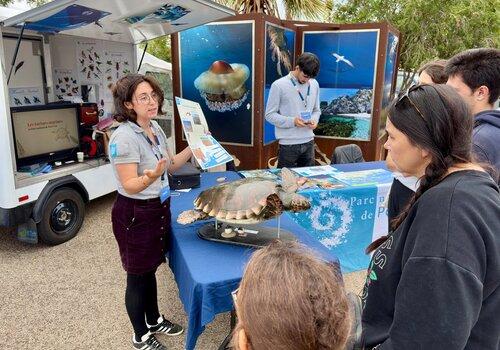 Stand tortue Animation des écoguides sur le village des sciences d'Hyères 2024