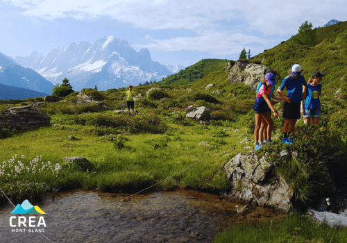 Sortie de sciences participatives en montagne pour l'étude des mares d'altitude