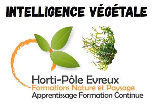 Fete de la science 2025 - Animation Hortipole Evreux