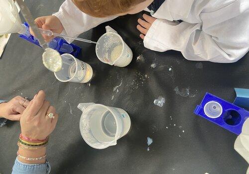 Expérimentation sur le stand INRAE lors de la Fête de la science 2024