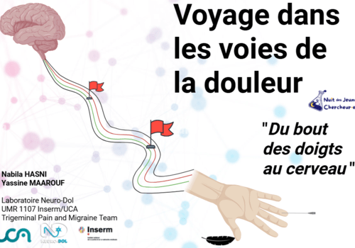Illustration en lien avec le thème de l'atelier