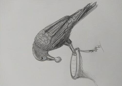 corbeau dessiné au crayon