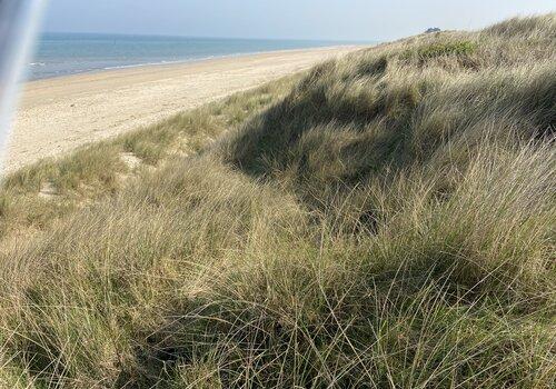 Une dune au bord de la mer