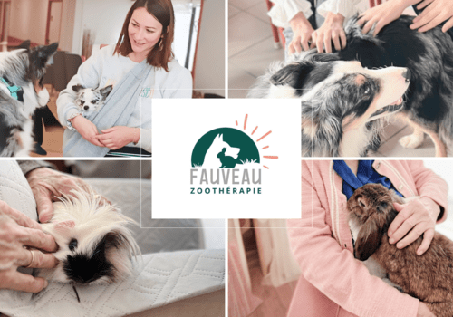 MEDIATION ANIMALE ANAIS FAUVEAU MEDIATION ANIMALE ANAIS FAUVEAU