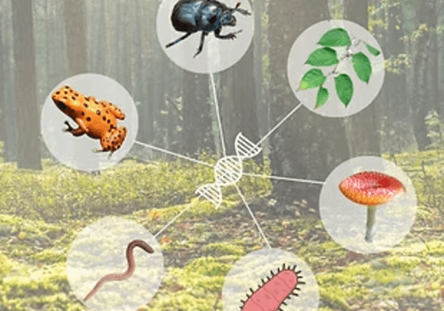 Evaluer la biodiversité grâce à l'ADN environnemental