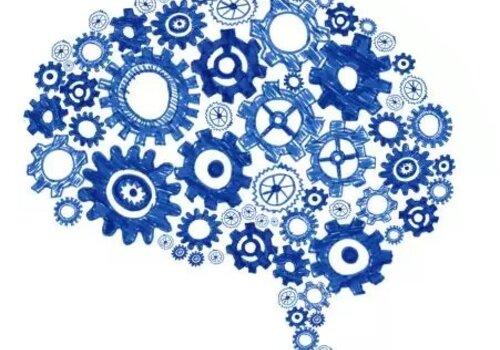 Le cerveau et les neuromythes Image cerveau