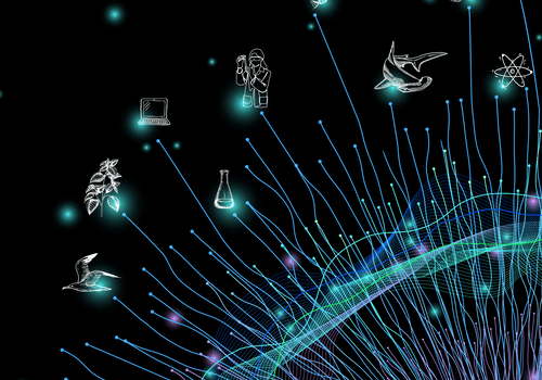 Image parcours immersifs à l'IRD Image parcours immersifs à l'IRD