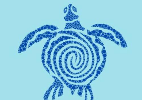 tortue