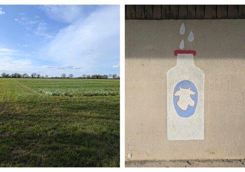 Diptyque agricole Champs de céréales et peinture au lycée agricole de Venours