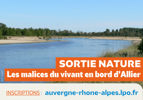 Rivière Allier Rivière Allier