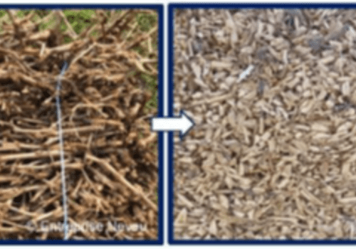 Exemple de transformation des sarments de vigne en isolant écoconçu