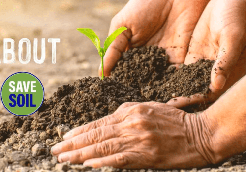 Save Soil Save Soil et le sol mondial