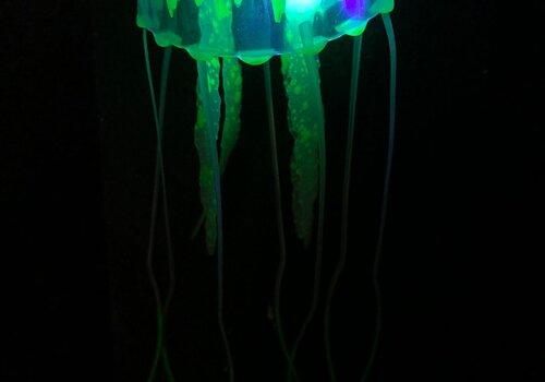 Illustration d'une expérience de bioluminescence Méduse bioluminescente