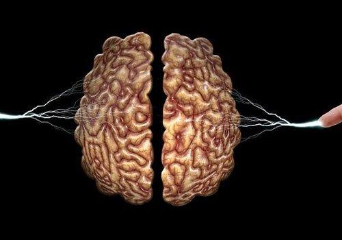 Toutes formes d'intelligences