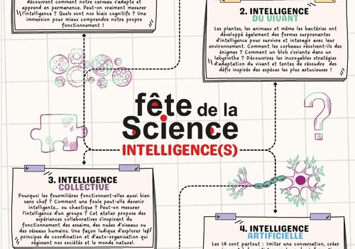 L'intelligence est-elle seulement biologique ou peut être aussi sociale, collective et artificielle ?