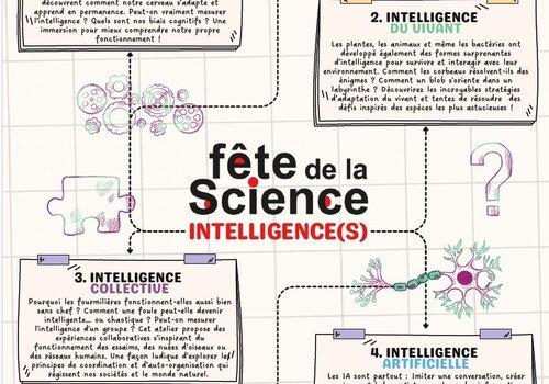 L'intelligence est-elle seulement biologique ou peut être aussi sociale, collective et artificielle ?