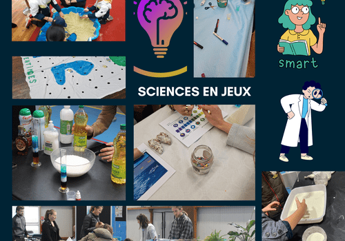 petit pêlemêle de photos de nos ateliers de différents domaines scientifiques 