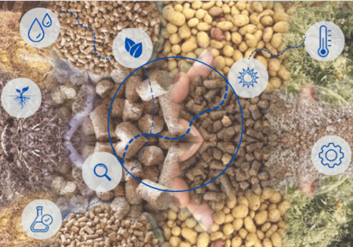 Intelligence des solutions Co-produits intelligence des solutions produits