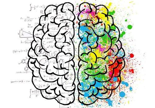 Les outils de notre cerveau