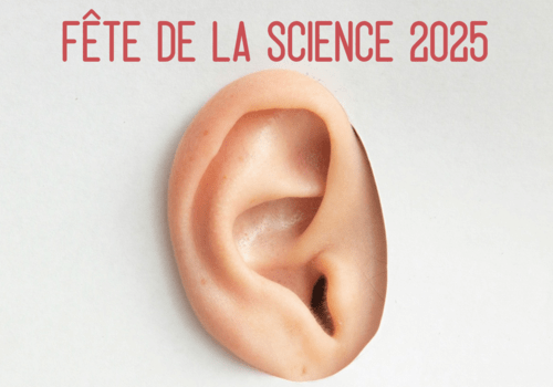 PROGRAMMATION FÊTE DE LA SCIENCE 2025 - IUT Thionville-Yutz PROGRAMMATION FÊTE DE LA SCIENCE 2025 - IUT Thionville-Yutz