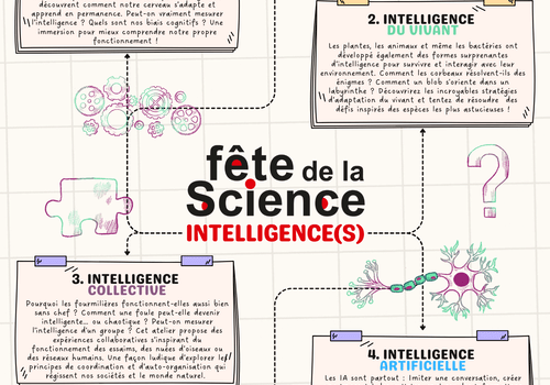 illustration pédagogique "Intelligence(s)" Affiche colorée présentant quatre ateliers scientifiques sur les intelligences humaine, collective, du vivant et artificielle.
