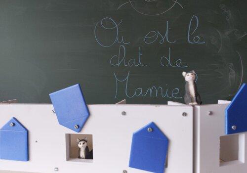 Chat caché 